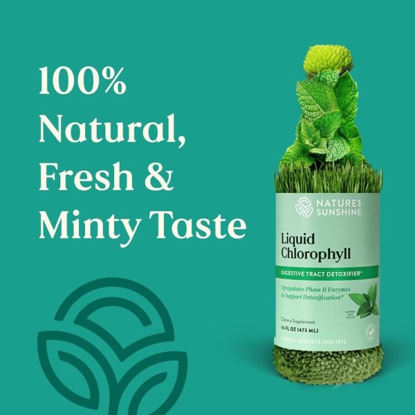 Natures Sunshine Liquid Chlorophyll Gut Detox Natural-2