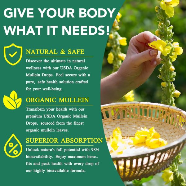 Shenzhen Mullein Leaf Drops Natural Lung Health Supplement-6