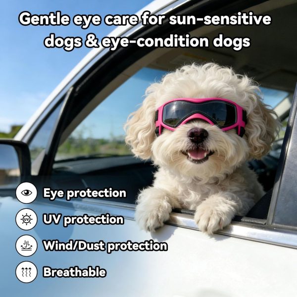 BillionChains Dog Goggles UV Protection Small Breeds Orange-2