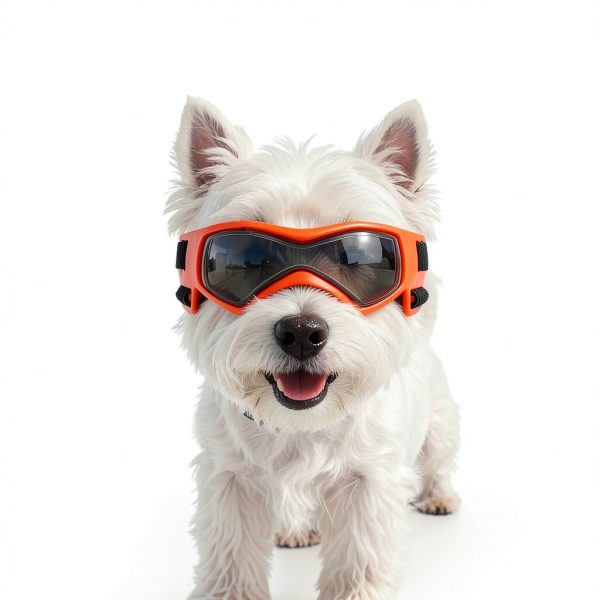 BillionChains Dog Goggles UV Protection Small Breeds Orange-4