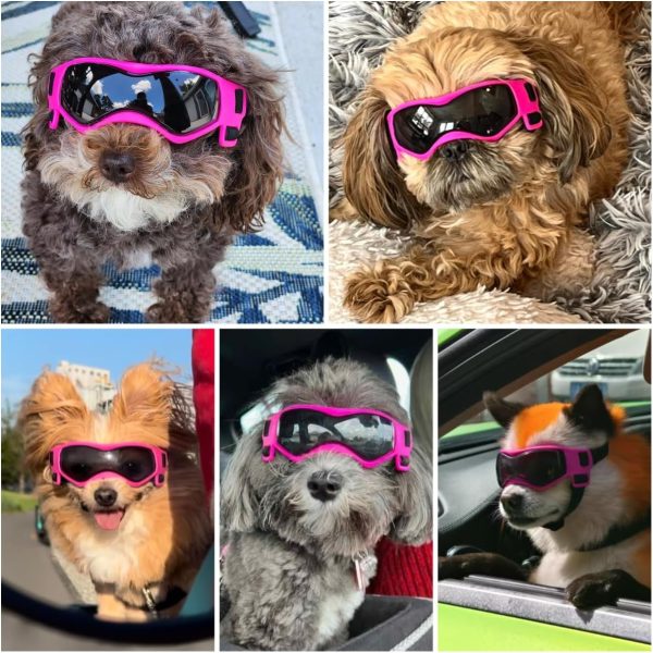 BillionChains Dog Goggles UV Protection Small Breeds Orange-1
