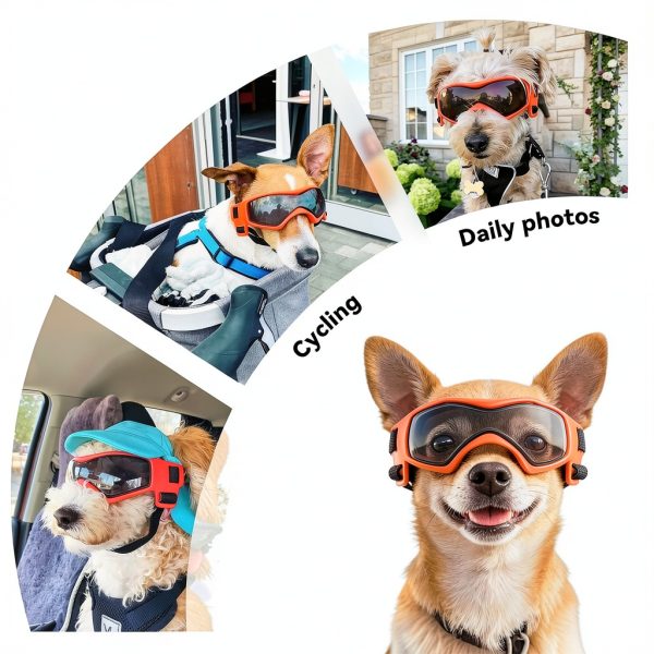BillionChains Dog Goggles UV Protection Small Breeds Orange-3