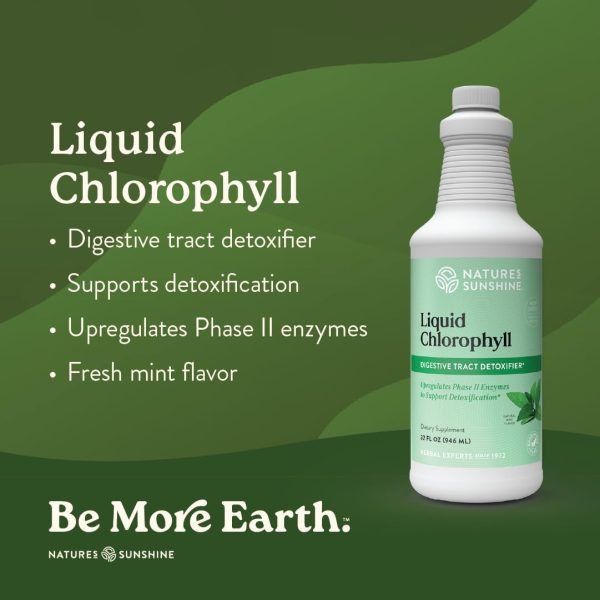 Natures Sunshine Liquid Chlorophyll Gut Detox Natural-1