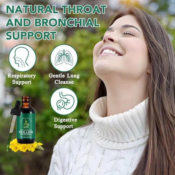 Shenzhen Mullein Leaf Drops Natural Lung Health Supplement-3