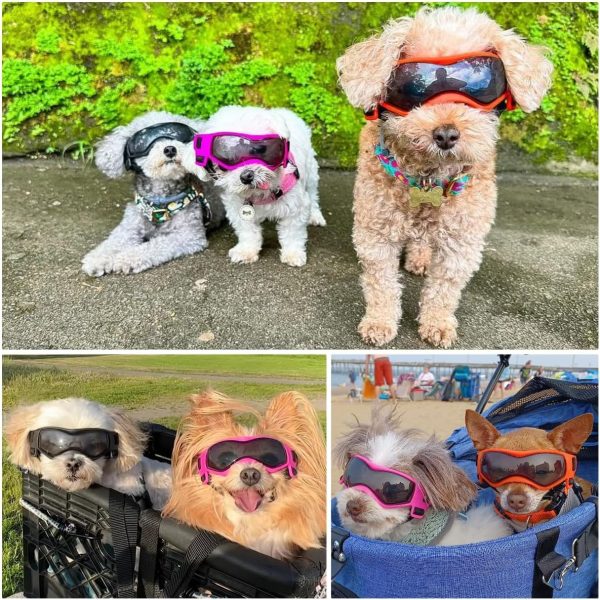 BillionChains Dog Goggles UV Protection Small Breeds Orange-6
