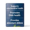 Chlorophyllin Supplement DNA Protection Antioxidant Wellness-3