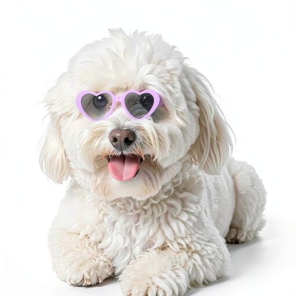 VioraWhite Pet Sunglasses Small Dog Cat Colorful Retro Style-3