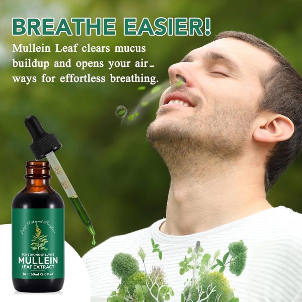 Shenzhen Mullein Leaf Drops Natural Lung Health Supplement-1