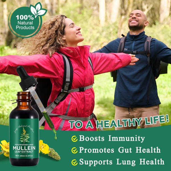 Shenzhen Mullein Leaf Drops Natural Lung Health Supplement-2