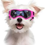 BillionChains Dog Goggles UV Protection Small Breeds Orange-0