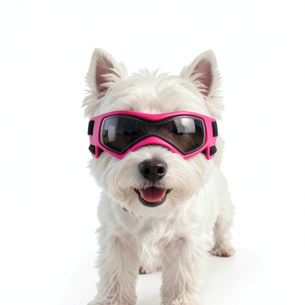 BillionChains Dog Sunglasses UV Protection Adjustable Strap-4