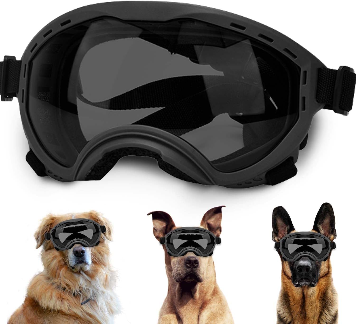 Dog wearing NICERINC PET sunglasses in a sunny park