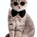 Pet Bow Tie Sunglasses Syhood Cotton Polyester-0