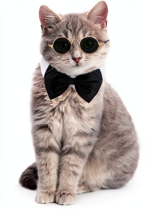 Pet Bow Tie Sunglasses Syhood Cotton Polyester-0