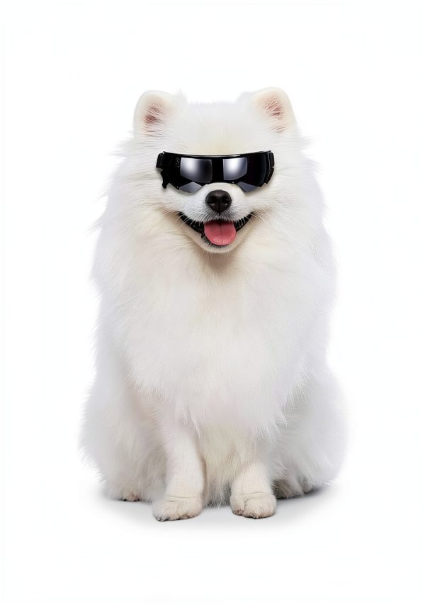Dog Sunglasses NVTED UV Protection Lightweight-1