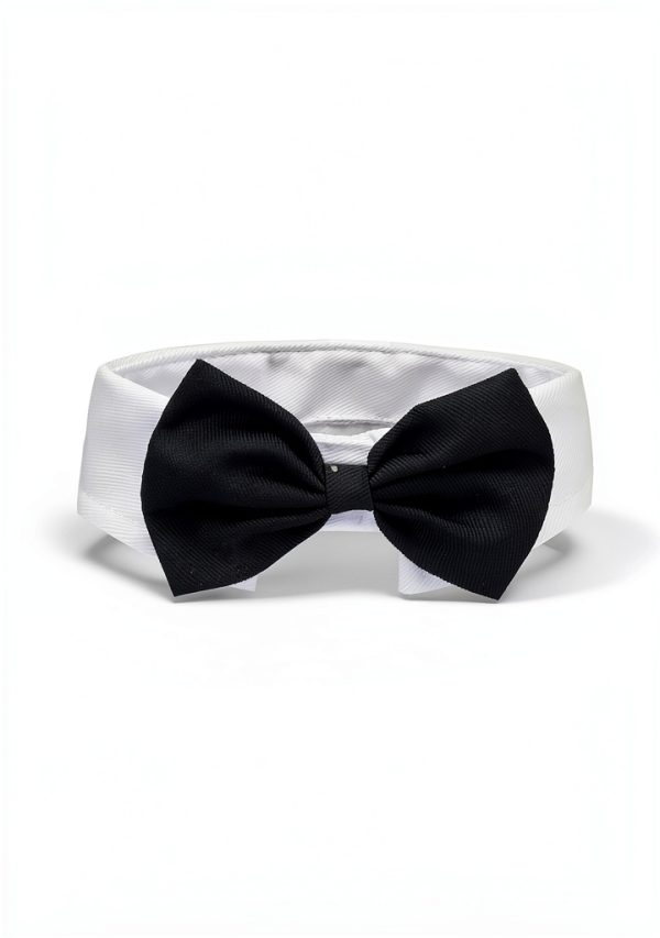 Pet Bow Tie Sunglasses Syhood Cotton Polyester-2