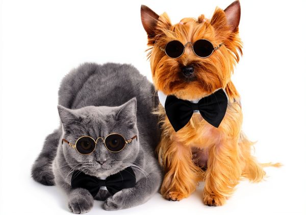 Pet Bow Tie Sunglasses Syhood Cotton Polyester-4