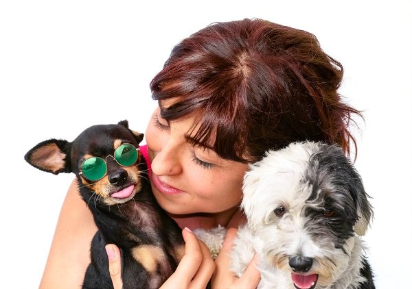 Weewooday Retro Dog Sunglasses Metal Frame-4