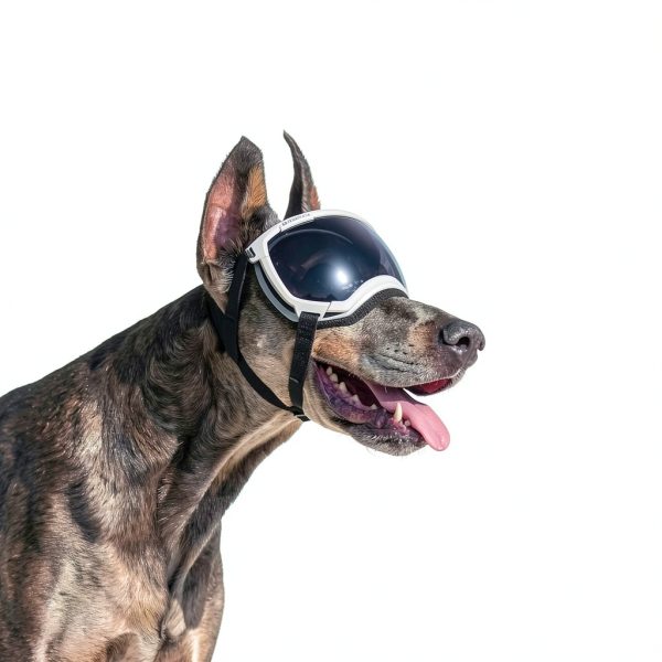 Rex Specs Dog Sunglasses Model 123 Breathable Mesh Adjustable Strap-3