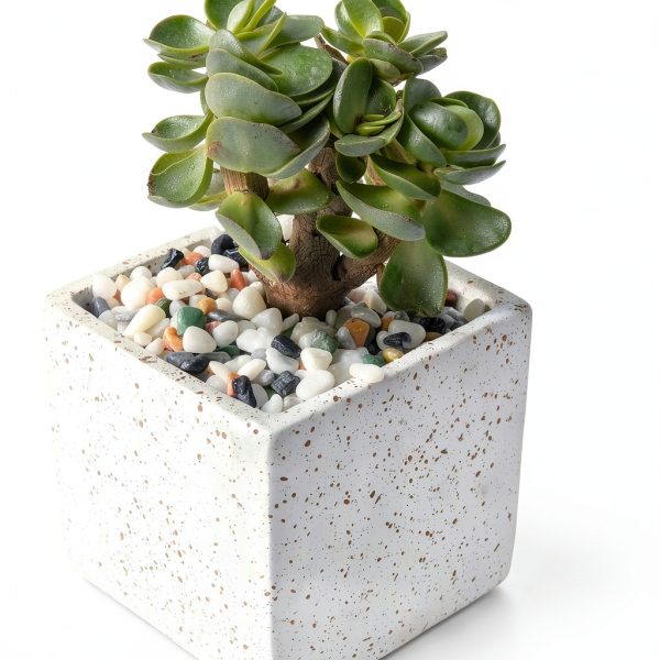5lb Pea Silica Gravel Decorative Rocks, No Wax Pebbles Ideal for Fish Tank, Vases, Succulents, Home Decor and Garden Landscaping, Countryside Silica Gravel-6