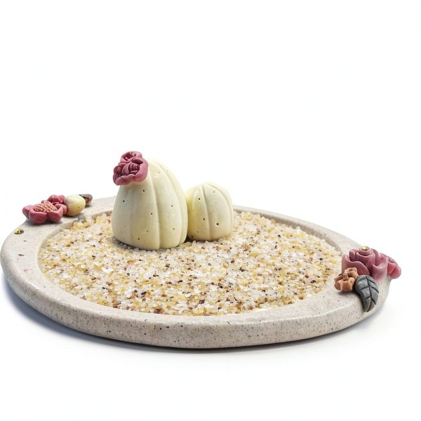 Aquarium Silica Sand 5 lb Beige by FANTIAN Substrate Fine Gravel-3